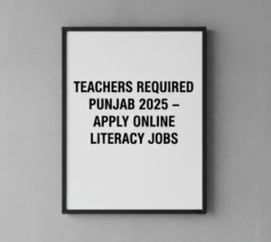 Teachers Required Punjab 2025 Apply Online