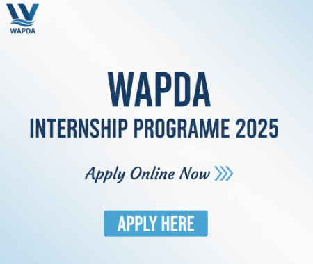 wapda internship programme 2025